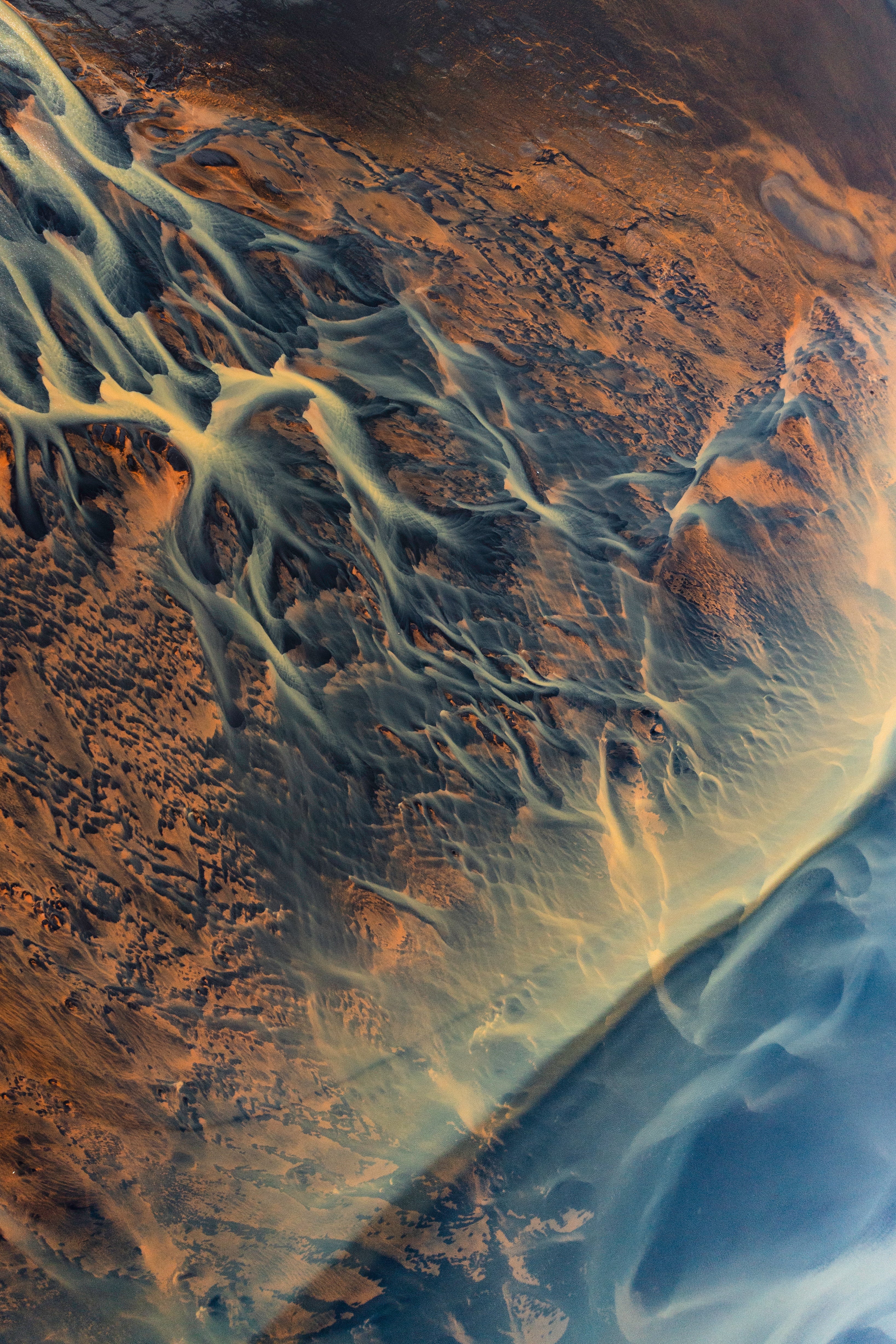 Iris Stéphane Ridard Print Shop